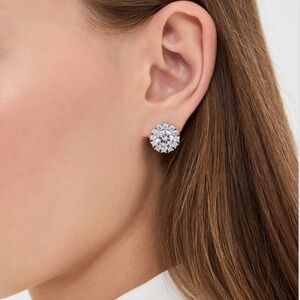 Elegant Silver Stud Earrings